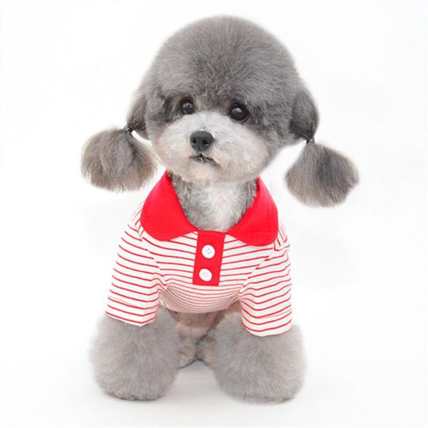 dog apparel cat t-shirt pajamas spring summer clothes tee shirt coat yorkshire chihuahua puppy costume small clothing pet outfit
dog apparel cat t-shirt pajamas spring summer clothes tee shirt coat yorkshire chihuahua puppy costume small clothing pet outfit