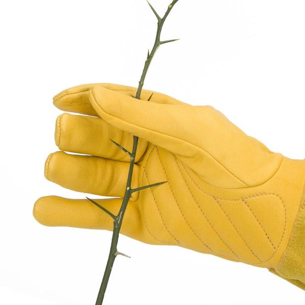 disposable gloves 1 pair flower gauntlet accessories garden planting gardening household protective practical farm thorn proof faux fleece
disposable gloves 1 pair flower gauntlet accessories garden planting gardening household protective practical farm thorn proof faux fleece