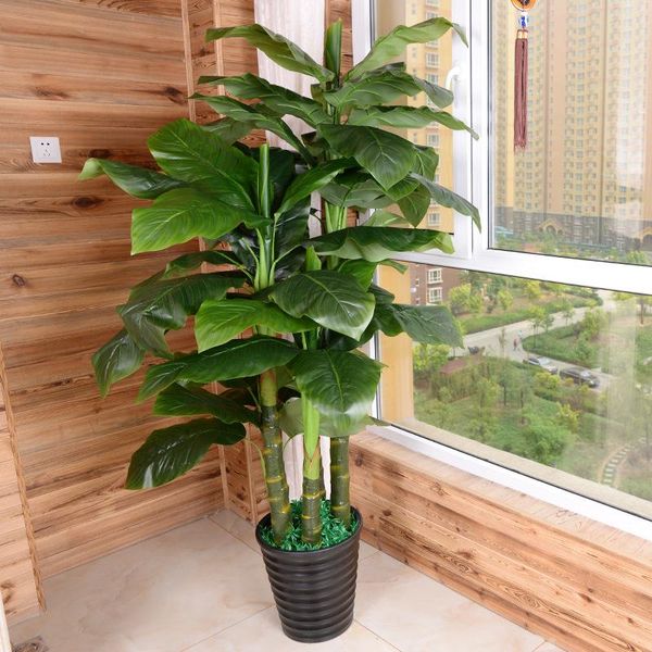 decorative flowers & wreaths 90cm 5 stem large simulation bonsai leaf tree artificial potted fake plants study office garden pography props
decorative flowers & wreaths 90cm 5 stem large simulation bonsai leaf tree artificial potted fake plants study office garden pography props