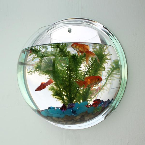 wall hanging acrylic fish tanks with accessories mount aquarium water tank flower pot plant vase mini betta aquariums
wall hanging acrylic fish tanks with accessories mount aquarium water tank flower pot plant vase mini betta aquariums