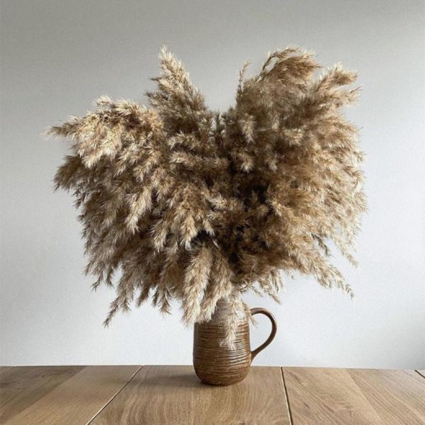 stems extra fluffy color dried pampas grass bouquet wedding decor flower bunch natural plant home large decorative flowers & wreaths
stems extra fluffy color dried pampas grass bouquet wedding decor flower bunch natural plant home large decorative flowers & wreaths