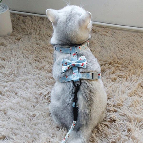 cat collars & leads dog adjustable harness vest walking lead leash for puppy dogs collar polyester mesh small medium pet
cat collars & leads dog adjustable harness vest walking lead leash for puppy dogs collar polyester mesh small medium pet