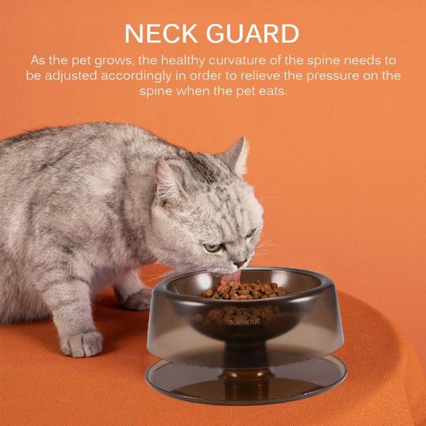 non-slip cat bowl dog with stand pet feeding water for cats bowls dogs feeder product supplies & feeders
non-slip cat bowl dog with stand pet feeding water for cats bowls dogs feeder product supplies & feeders
