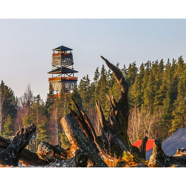 paintings ruopoty artistic wooden camp scenery hand-painted digital oil painting home personality decoration boat diy gift
paintings ruopoty artistic wooden camp scenery hand-painted digital oil painting home personality decoration boat diy gift