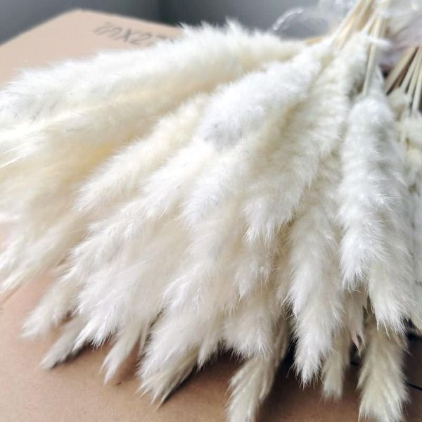 15pcs/lot white pampas grass artificial natural dried flower bouquet decor real plants trawa pampasowa wedding home decoration decorative fl
15pcs/lot white pampas grass artificial natural dried flower bouquet decor real plants trawa pampasowa wedding home decoration decorative fl