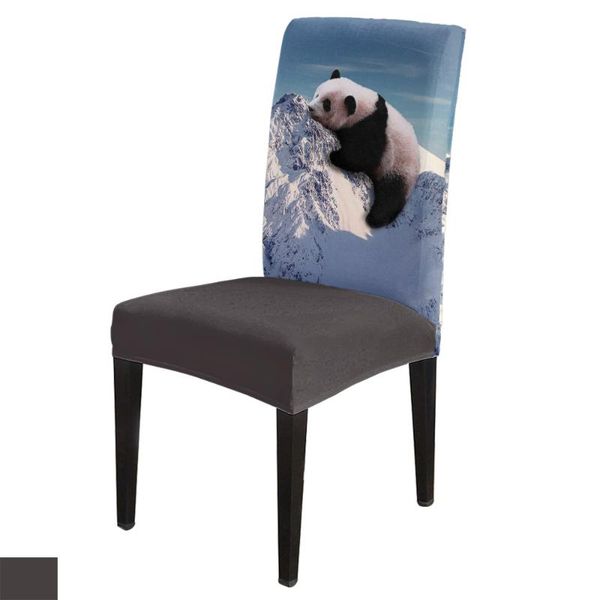 chair covers dining snow mountain panda funny modern elastic printing el wedding home
chair covers dining snow mountain panda funny modern elastic printing el wedding home