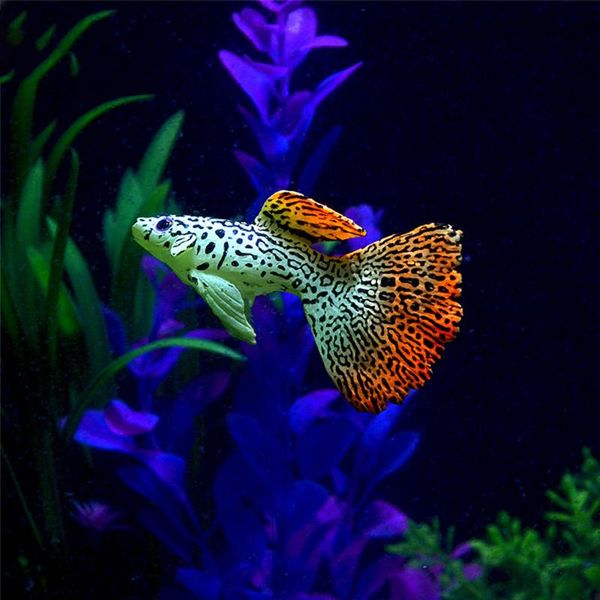 ornamental fish simulation goldfish with sucker tasteless fake tropical aquarium bowl ornament gift decorations
ornamental fish simulation goldfish with sucker tasteless fake tropical aquarium bowl ornament gift decorations