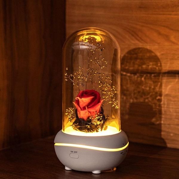 fragrance lamps immortal flower aroma therapy machine everlasting lamp colorful light diffuser
fragrance lamps immortal flower aroma therapy machine everlasting lamp colorful light diffuser