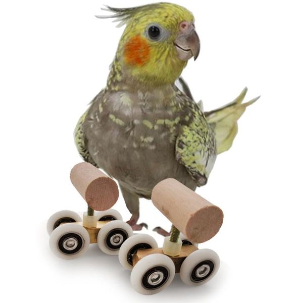 parrot pulley training toy natural wooden parrots birds accessories for pet interactive toys other bird supplies
parrot pulley training toy natural wooden parrots birds accessories for pet interactive toys other bird supplies
