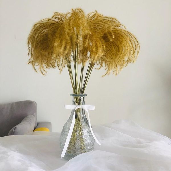 decorative flowers & wreaths natural plants real small pampas grass wedding phragmites bunch home decorations preserved dried bouquet orname
decorative flowers & wreaths natural plants real small pampas grass wedding phragmites bunch home decorations preserved dried bouquet orname