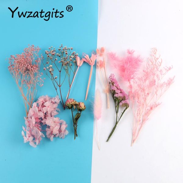 decorative flowers & wreaths ywzatgits 10 types dry plants hydrangea for home diy jewelry making valentines day decor accessories yb0713
decorative flowers & wreaths ywzatgits 10 types dry plants hydrangea for home diy jewelry making valentines day decor accessories yb0713
