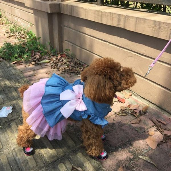 cat costumes fashion pet spring and summer breathable elegant princess skirt dog ropa gato clothes sweater dla kota
cat costumes fashion pet spring and summer breathable elegant princess skirt dog ropa gato clothes sweater dla kota
