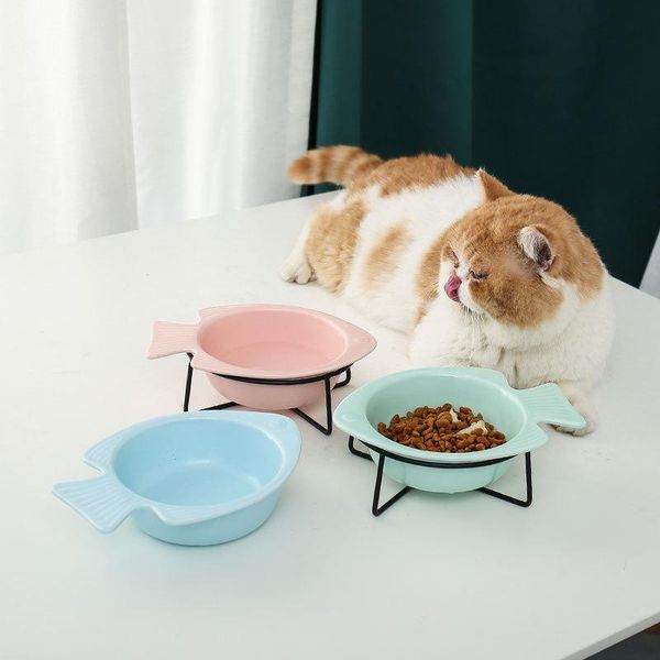 ceramic cat bowl dog drinking double protect cervical spine pet supplie bowls & feeders
ceramic cat bowl dog drinking double protect cervical spine pet supplie bowls & feeders