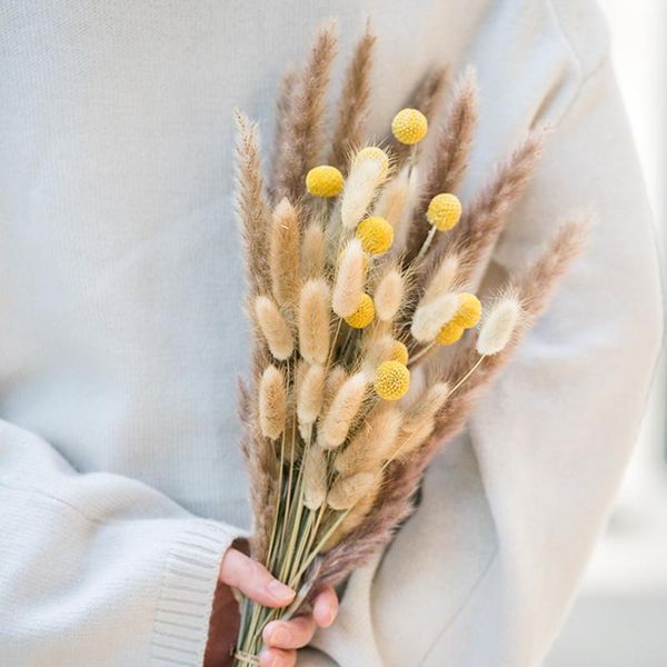 decorative flowers & wreaths nordic style pampas reed dried tail grass golden ball plant accessories flores secas home wedding decora
decorative flowers & wreaths nordic style pampas reed dried tail grass golden ball plant accessories flores secas home wedding decora