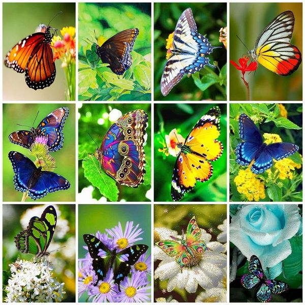 diamond painting huacan 5d diy butterfly full square art embroidery mosaic animal handmade gift home decor
diamond painting huacan 5d diy butterfly full square art embroidery mosaic animal handmade gift home decor