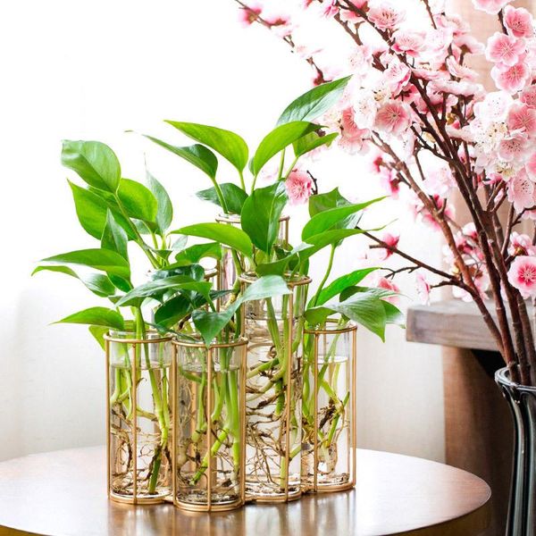 vases modern tube shape glass vase bottle for flower plant diy home decoration terrarium hydroponic green container
vases modern tube shape glass vase bottle for flower plant diy home decoration terrarium hydroponic green container