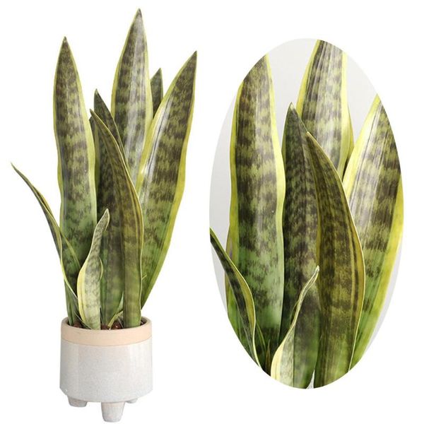 decorative flowers & wreaths artificial green plants plastic fake 4 leaf sansevieria colorful and fresh easy caring suitable for home decora
decorative flowers & wreaths artificial green plants plastic fake 4 leaf sansevieria colorful and fresh easy caring suitable for home decora