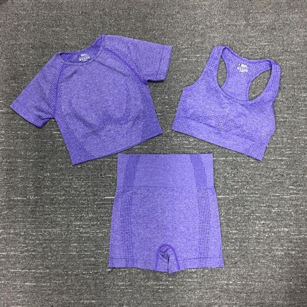 yoga outfits vital seamless set women gym workout clothes sports bra +short sleeve fitness crop high waist shorts suits 3pcs1, White;red
yoga outfits vital seamless set women gym workout clothes sports bra +short sleeve fitness crop high waist shorts suits 3pcs1, White;red