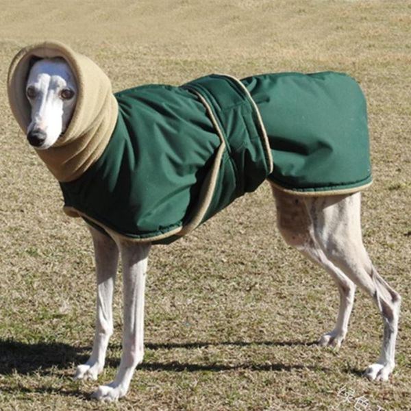 dog apparel large clothes autumn winter high-neck warm greyhound golden retriever whippet doberman double-layer
dog apparel large clothes autumn winter high-neck warm greyhound golden retriever whippet doberman double-layer