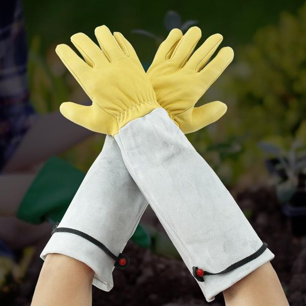 disposable gloves 1 pair leather long forearm gardening s/m/l/xl thorn resistance work safety gauntlet protective working
disposable gloves 1 pair leather long forearm gardening s/m/l/xl thorn resistance work safety gauntlet protective working