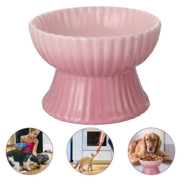 cat bowls & feeders pet kitten raised food bowl elevated feeding water dish for dog puppy
cat bowls & feeders pet kitten raised food bowl elevated feeding water dish for dog puppy