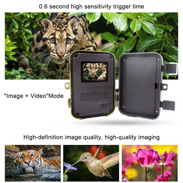 hunting camera ir leds night vision camcorder waterproof scouting for monitoring do2 cameras
hunting camera ir leds night vision camcorder waterproof scouting for monitoring do2 cameras