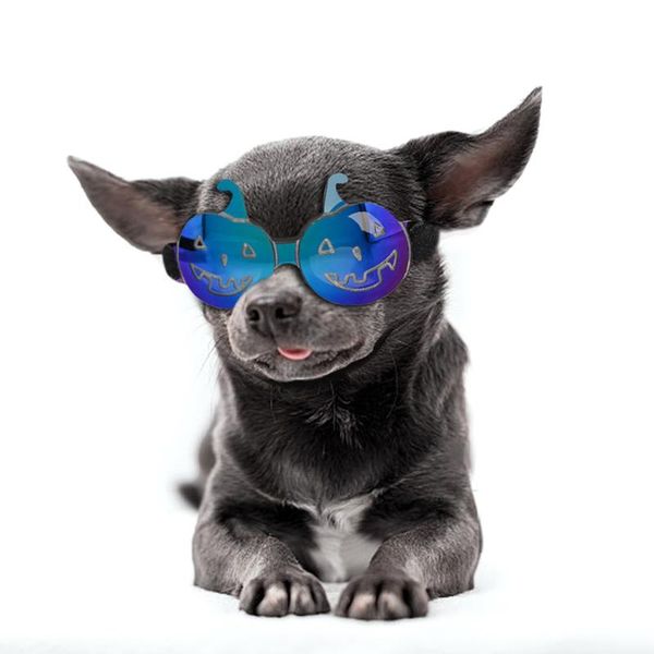pet cat dog halloween glasses pumpkin design adjustable comfort decoration pets dogs funny prop eyeglasses party accessories apparel
pet cat dog halloween glasses pumpkin design adjustable comfort decoration pets dogs funny prop eyeglasses party accessories apparel