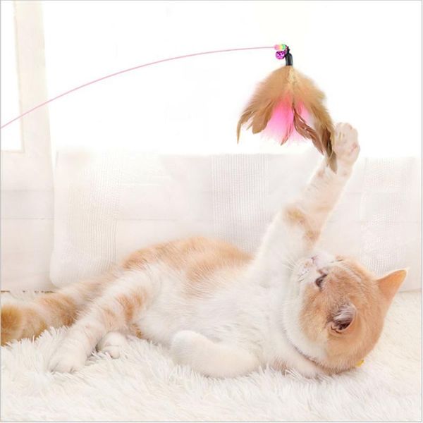 cat toys funny toy fishing rod kitten pet stick teaser rainbow streamer interactive play wand with feather for cats
cat toys funny toy fishing rod kitten pet stick teaser rainbow streamer interactive play wand with feather for cats