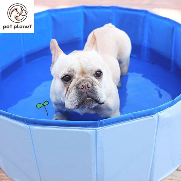 kennels & pens dog pool foldable swimming pet bath tub bathtub collapsible bathing for dogs cats kids
kennels & pens dog pool foldable swimming pet bath tub bathtub collapsible bathing for dogs cats kids