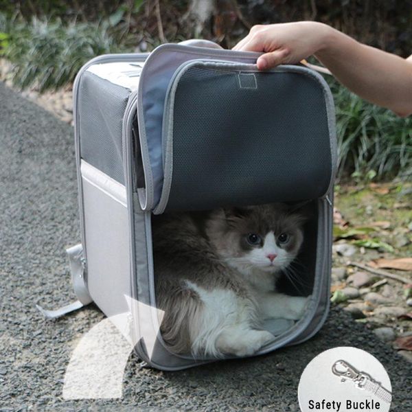 cat carriers,crates & houses mamy pets outdoor carrier bag for collapsible pet backpack portable travel drop transport product
cat carriers,crates & houses mamy pets outdoor carrier bag for collapsible pet backpack portable travel drop transport product