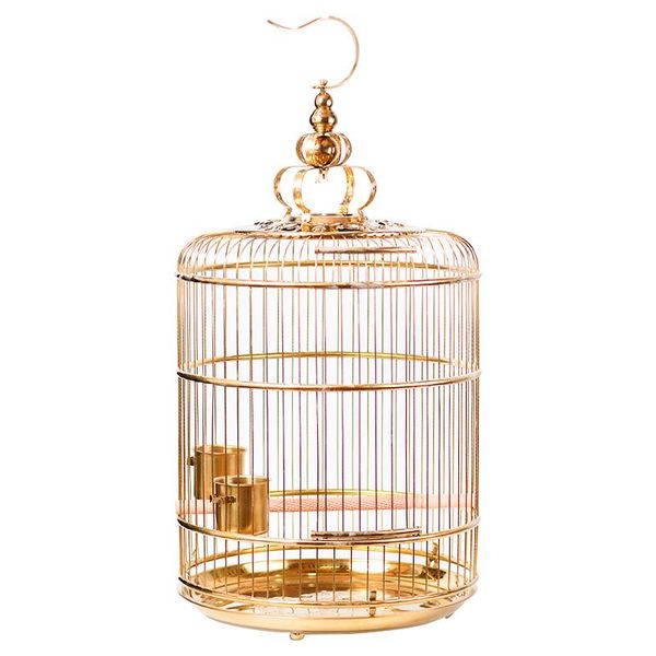 bird cages the local tyrannical tyrant gold with flowers high-end stainless steel birdcage myna round bath can be decorated
bird cages the local tyrannical tyrant gold with flowers high-end stainless steel birdcage myna round bath can be decorated