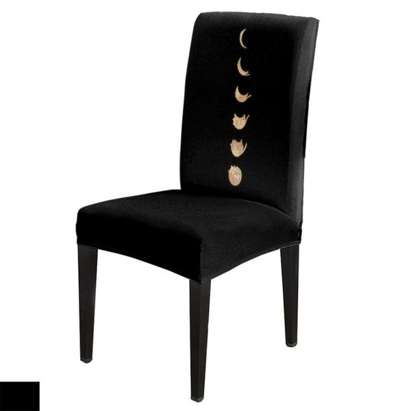 cat animal landscape chair covers wedding party decor dining spandex elastic printing
cat animal landscape chair covers wedding party decor dining spandex elastic printing