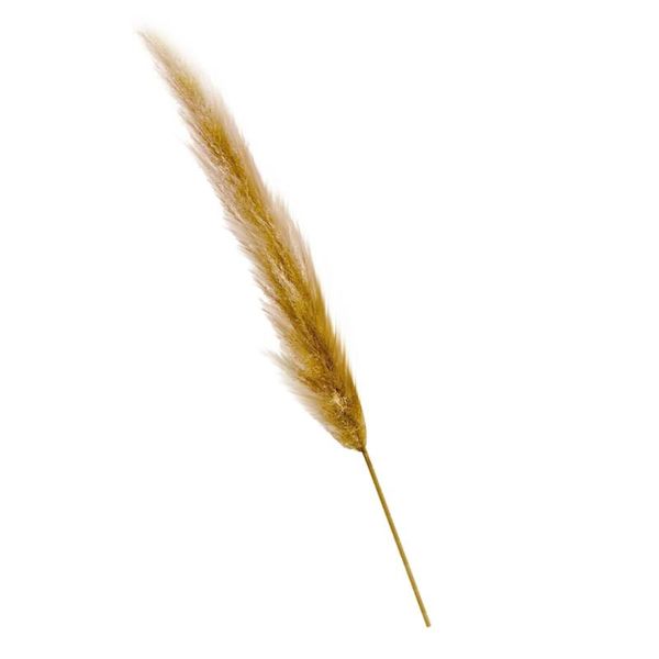bulrush natural dried small pampas grass phragmites artificial plants wedding flower bunch for home decor fake flowers decorative & wreaths
bulrush natural dried small pampas grass phragmites artificial plants wedding flower bunch for home decor fake flowers decorative & wreaths
