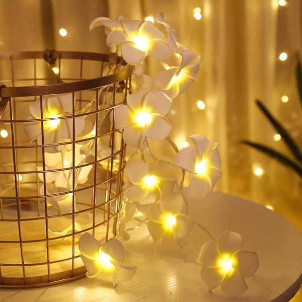 strings christmas light bedroom decor 3m 6m 10m led frangipani warm string fairy xmas diy wedding decoration garland navidad
strings christmas light bedroom decor 3m 6m 10m led frangipani warm string fairy xmas diy wedding decoration garland navidad