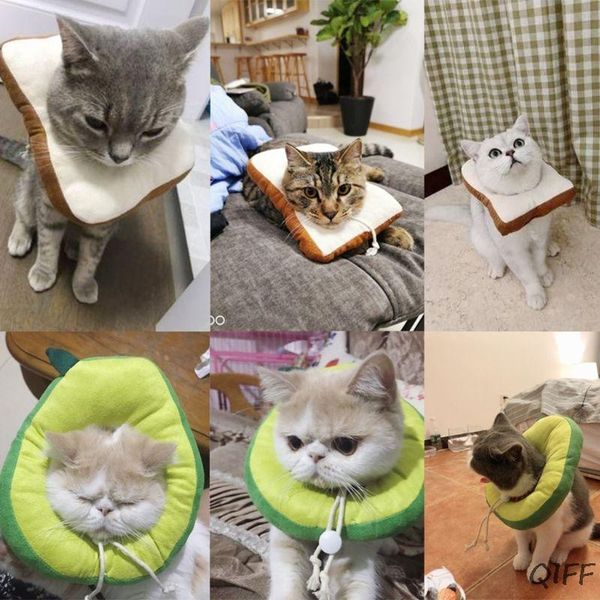 cat costumes adjustable recovery elizabethan collar protective neck cone after 
cat costumes adjustable recovery elizabethan collar protective neck cone after