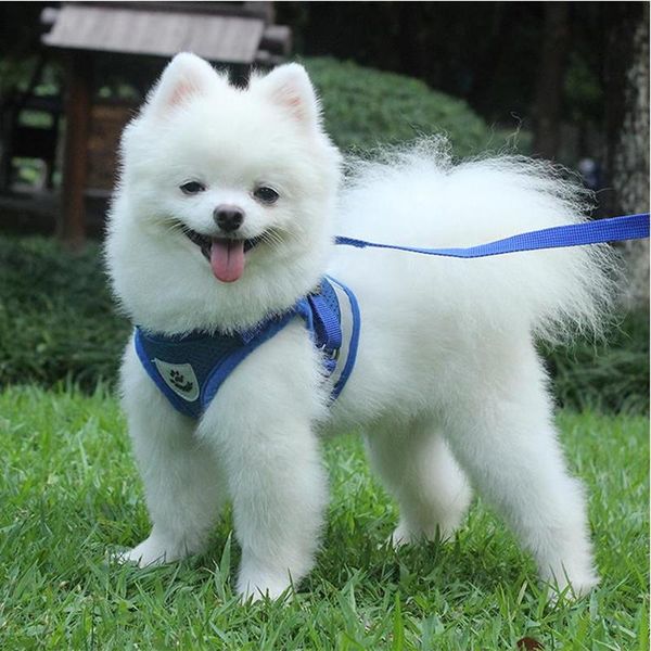 dog collars & leashes pet chest strap vest leash reflective breathable mesh dogs harness supplies accessories for small breeds
dog collars & leashes pet chest strap vest leash reflective breathable mesh dogs harness supplies accessories for small breeds