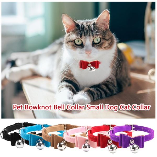 adjustable cat dog collar with bells double bowknot kitten puppy collars necktie cute pu personalized pet necklace for chihuahua & leashes
adjustable cat dog collar with bells double bowknot kitten puppy collars necktie cute pu personalized pet necklace for chihuahua & leashes