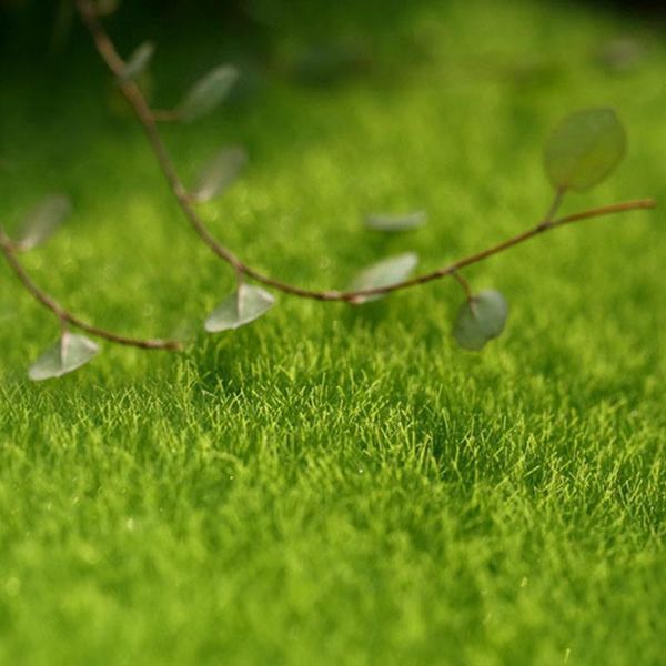 decorative flowers & wreaths 15 x 15cm life-like artificial grass lawn miniature ornament for diy fairy garden dollhouses decoration mf
decorative flowers & wreaths 15 x 15cm life-like artificial grass lawn miniature ornament for diy fairy garden dollhouses decoration mf