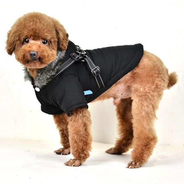 om dog plain color hooded reflective silk strap design cotton clothes pet jacket cat costumes
om dog plain color hooded reflective silk strap design cotton clothes pet jacket cat costumes