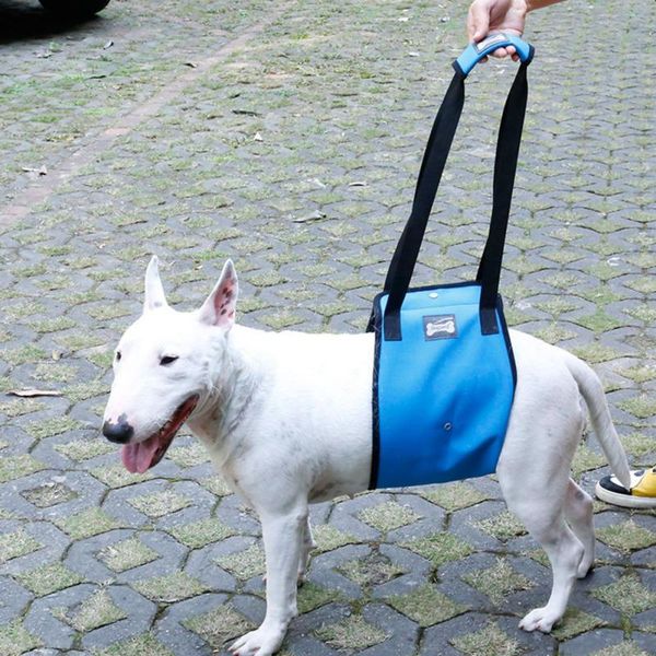 

portable dog sling for back legs hip support harness to help lift dogs rear canine aid and old ligament rehabilitation collars & leashes