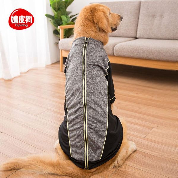 dog apparel pet spring and autumn big sweater coat golden retriever medium large two-legged dogs clothes ubranko dla psa traje perro
dog apparel pet spring and autumn big sweater coat golden retriever medium large two-legged dogs clothes ubranko dla psa traje perro