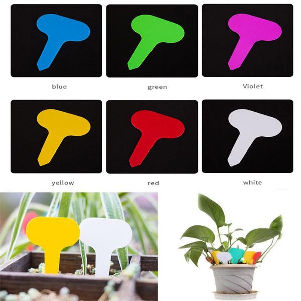 garden decorations 100pcs t-type plant labels plastic stake tags waterproof sign markers for nursery seed flower vegetable
garden decorations 100pcs t-type plant labels plastic stake tags waterproof sign markers for nursery seed flower vegetable
