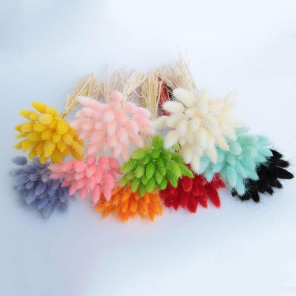 plant eternal flower dried color tail bouquet artificial props po decoration home f8h2 vases
plant eternal flower dried color tail bouquet artificial props po decoration home f8h2 vases