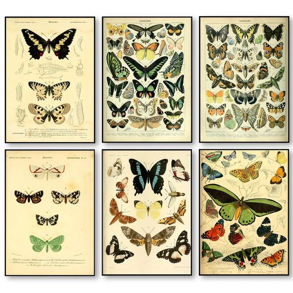 paintings nordic retro butterfly illustrated picture antique old book page printing canvas painting home living room study decor poster
paintings nordic retro butterfly illustrated picture antique old book page printing canvas painting home living room study decor poster