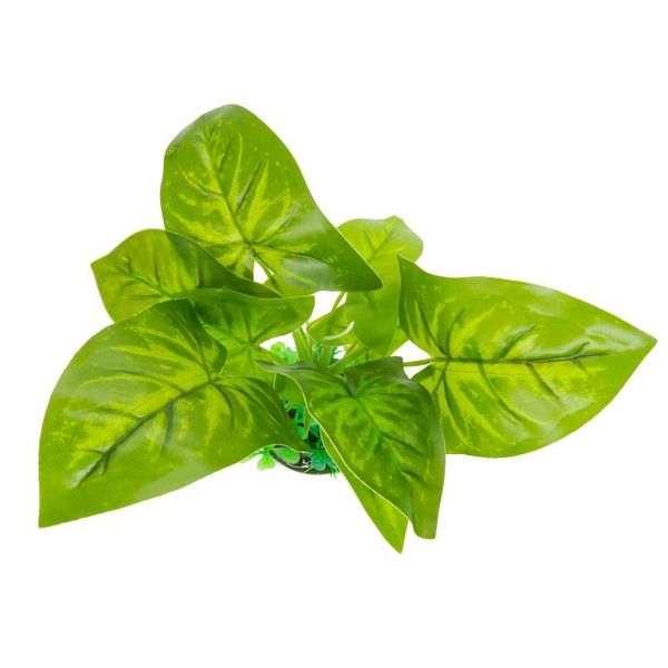 decorations aquarium decorative simulation of aquatic grass syngonium underwater artificial plant ornament fish tank landscaping adornment
decorations aquarium decorative simulation of aquatic grass syngonium underwater artificial plant ornament fish tank landscaping adornment