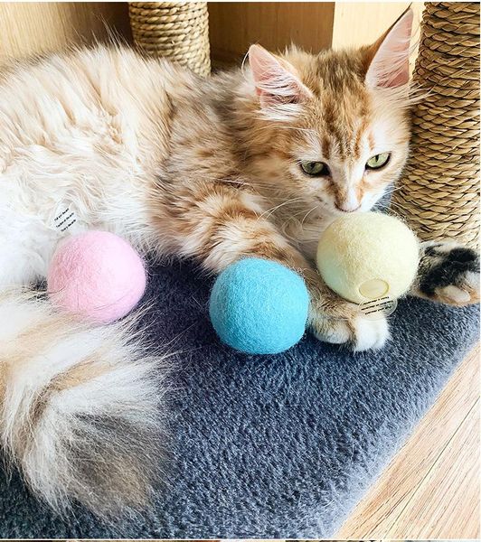 funny cat toys smart touch sound ball catnip pet training supplies simulation squeaker products toy for cats kitten kitty
funny cat toys smart touch sound ball catnip pet training supplies simulation squeaker products toy for cats kitten kitty