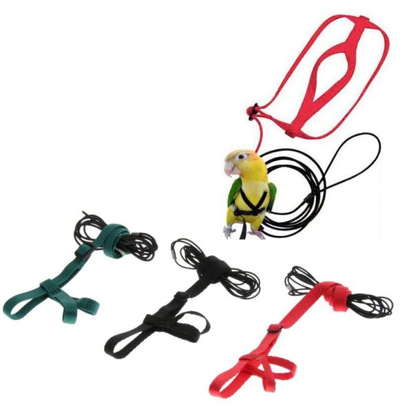 other bird supplies adjustable harness leash parrot parakeet cockatiel reptile outdoor walk bite resistant
other bird supplies adjustable harness leash parrot parakeet cockatiel reptile outdoor walk bite resistant