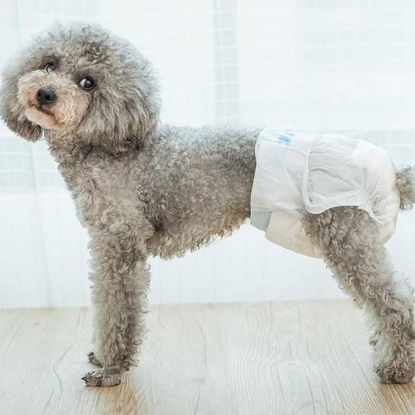 dog apparel hobbylane 10pcs pet diapers puppy disposable nappies physiological pants for female
dog apparel hobbylane 10pcs pet diapers puppy disposable nappies physiological pants for female