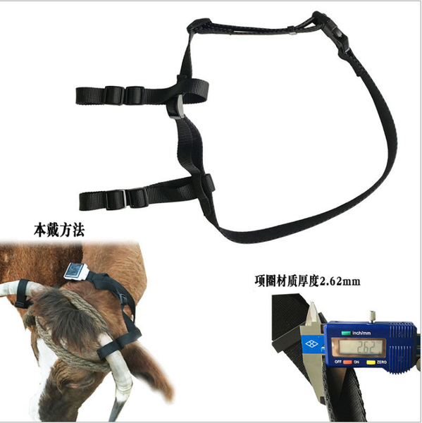 solar gps tracker collar holder large animals neck belt for big dogs sheep horse cow camel v26 v34 v44 car & accessories
solar gps tracker collar holder large animals neck belt for big dogs sheep horse cow camel v26 v34 v44 car & accessories