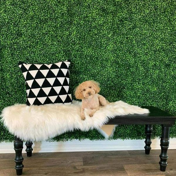 50*50cm artificial plant foliage hedge grass mat greenery fence fake panel touch moss lawn real decor carpet wall p5w5 decorative flowers &
50*50cm artificial plant foliage hedge grass mat greenery fence fake panel touch moss lawn real decor carpet wall p5w5 decorative flowers &